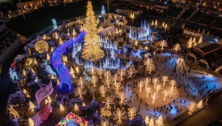 largest christmas light maze